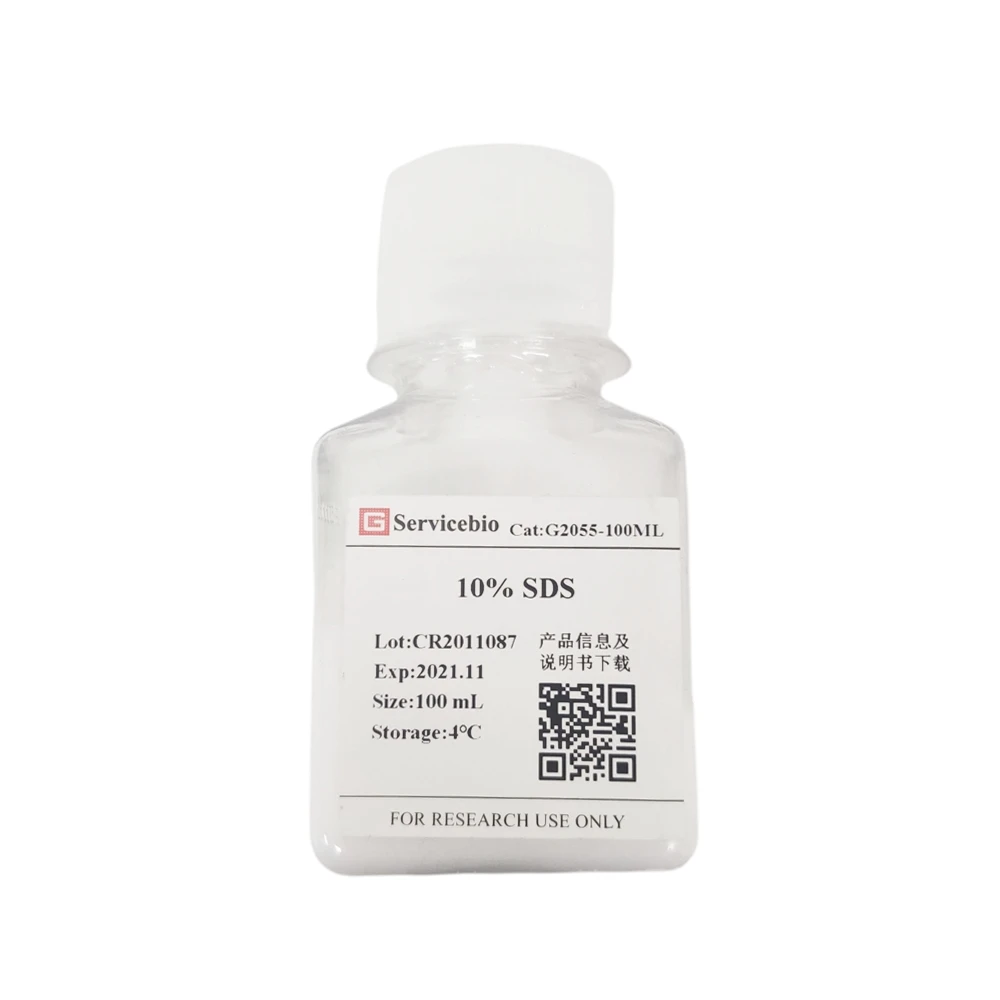 100ml 10% SDS Sodium Dodecyl Sulfate