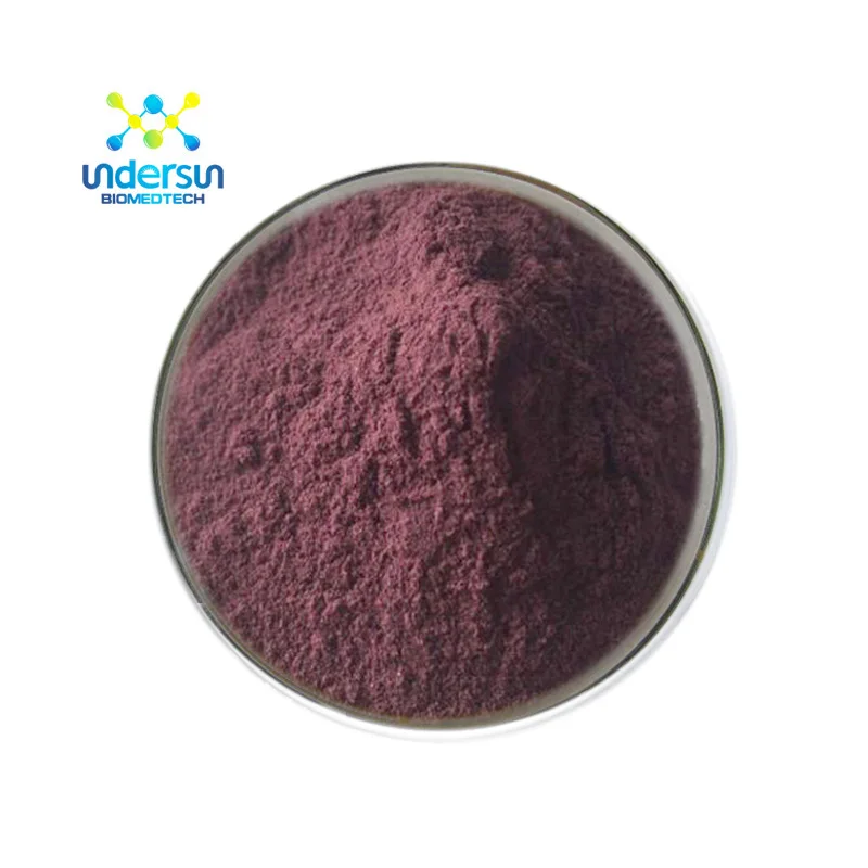 Wholesale Freeze dried Acai Berry fruit powder in bulk