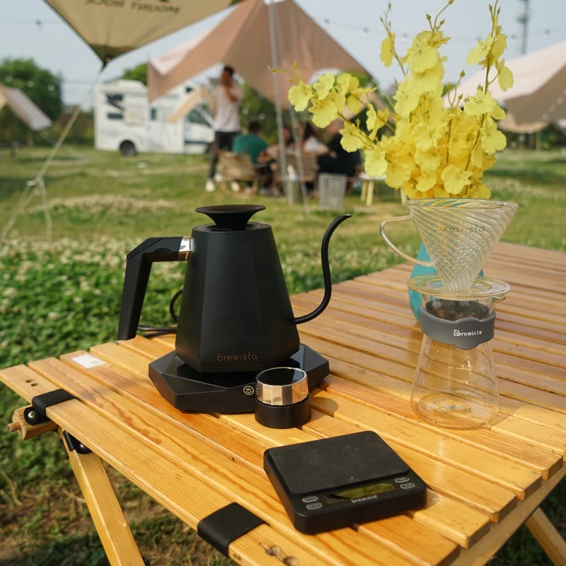 Brewista Good Selling Gooseneck Electric Kettle Coffee Mini Portable Tea Travel Electric Kettle With Temperature Control