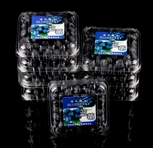 Fruit Tray Thermoforming Machine For Dishes And Lids