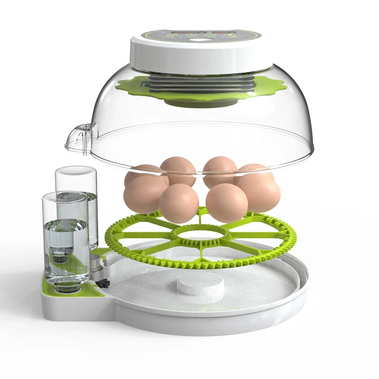 Home Use Egg Hatcher Mini 8 Capacity Egg Incubator For Hatching Eggs