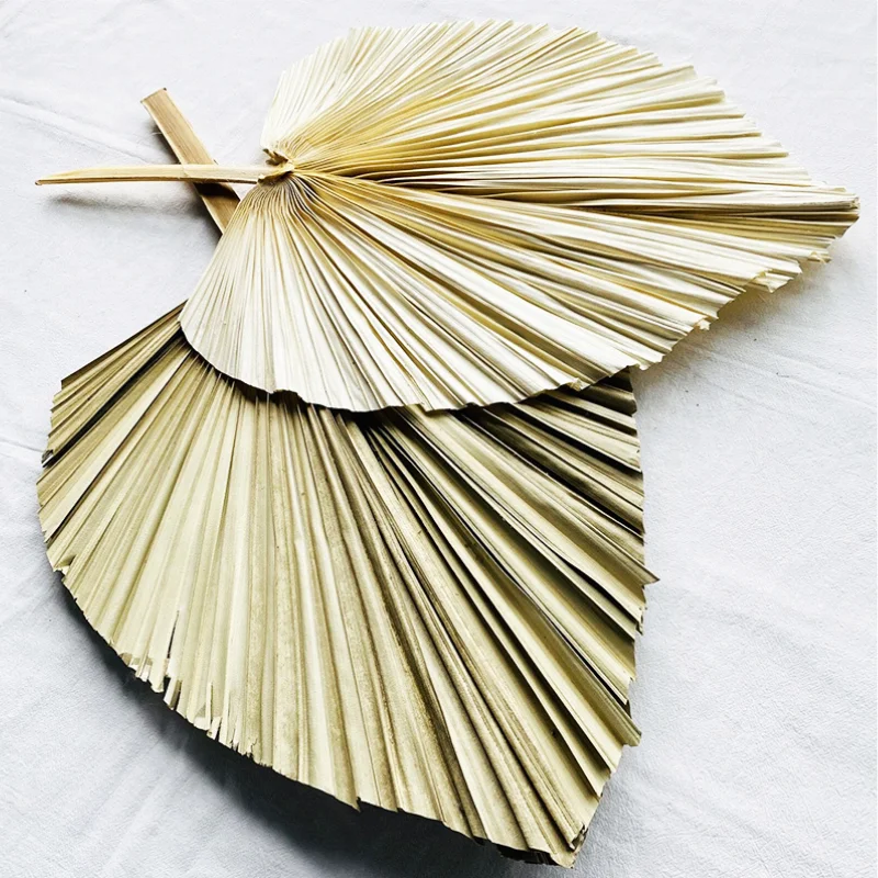 Amazon Hot Sale Europe Style Leaf Home Decorative Dried Flowers Dried Palm Leaves