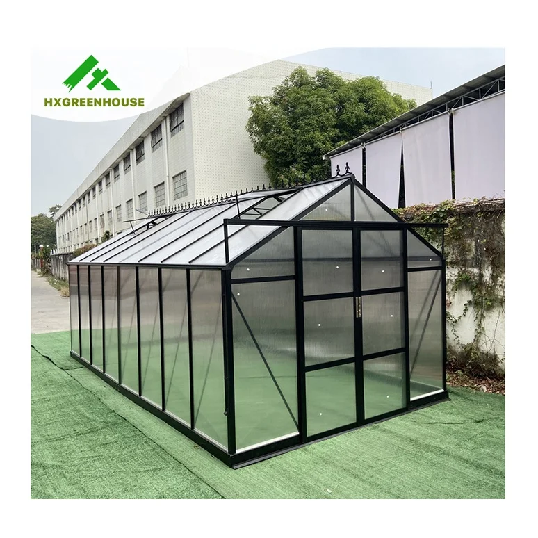 Guangzhou grow vegetables powder coated 10mm industrial gazebo window strawberry agriculture greenhouse commercial greenhouses
