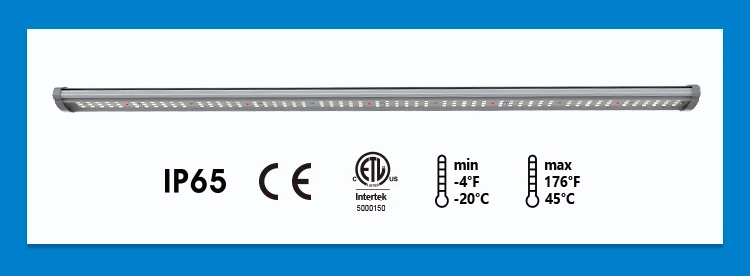 2.led grow light bar.jpg