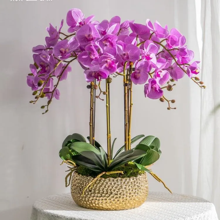 Factory wholesale decorative flower pots  with Phalaenopsis orchid  for floor   home  wedding decoration