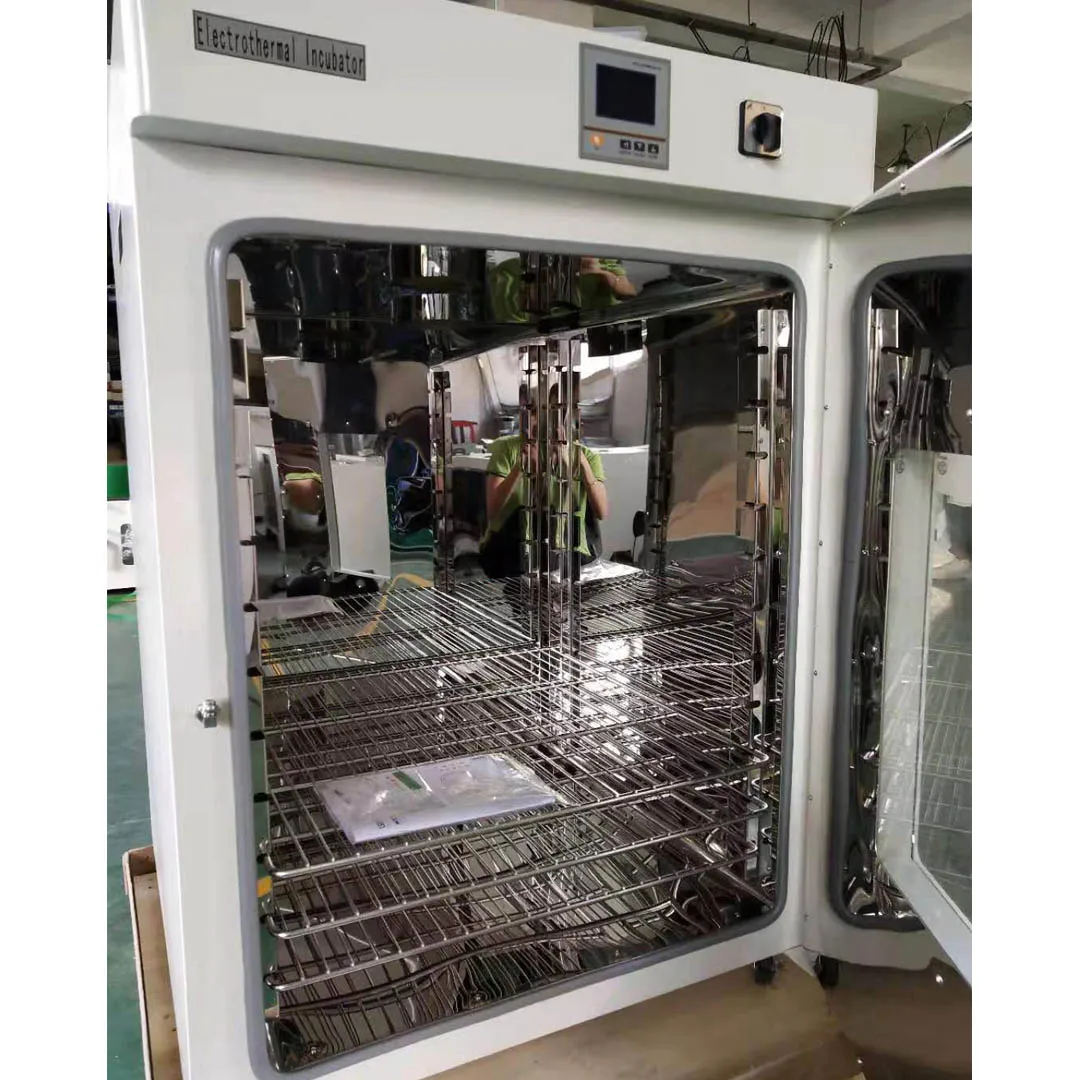 Laboratory Constant Temperature Direct Heat Incubator