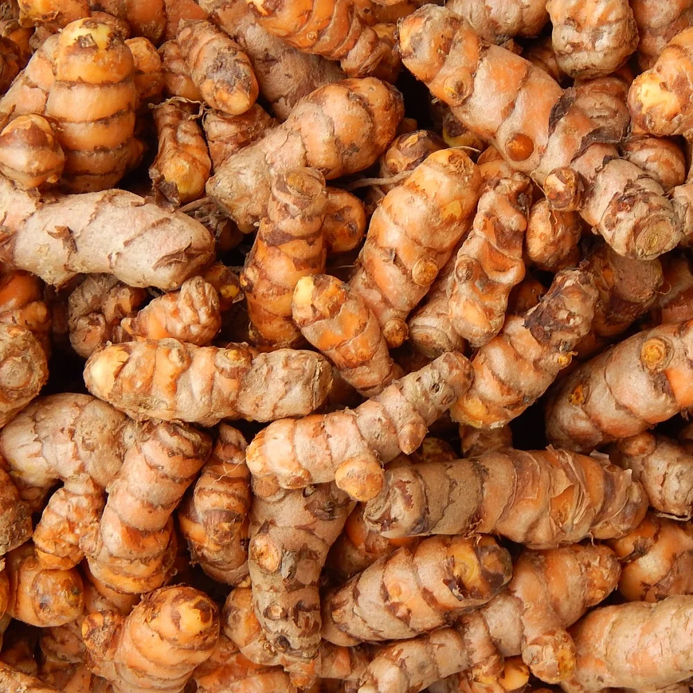 
FRESH TURMERIC VIETNAM ORIGIN 