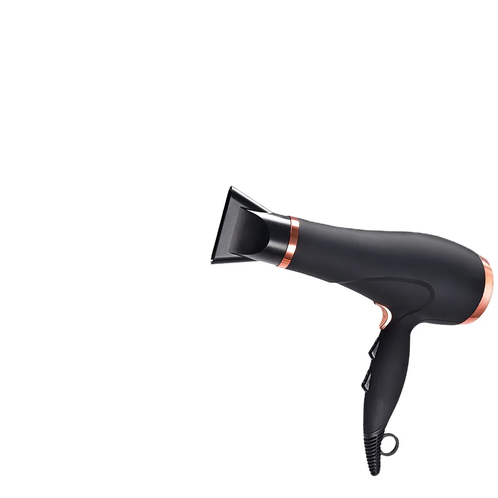 Negative ion Dryer Protecting damaged hair Household salon Strong Power Fast drying AC motor For Private Logo PTC