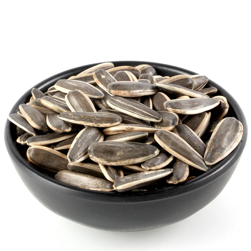 good quality xinjiang crop sunflower seeds 363 and 361 to turkey