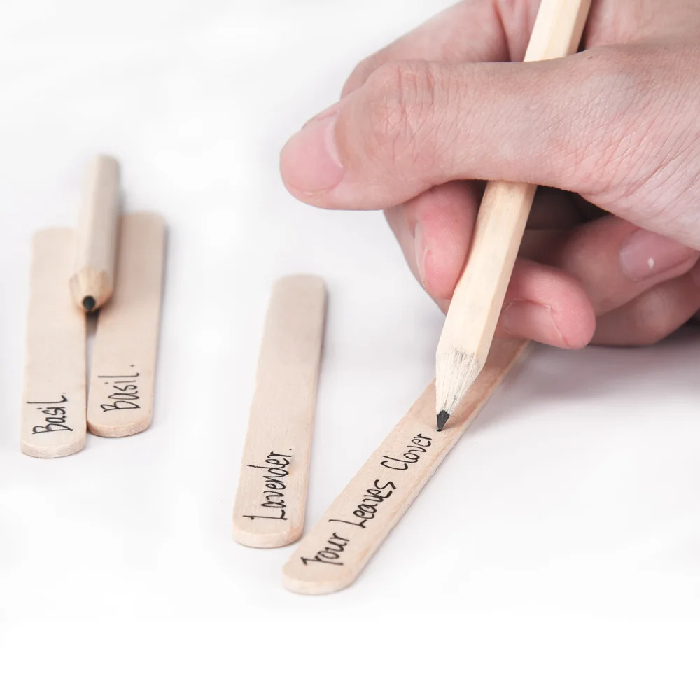 Indoor Diy Kitchen Small Plants Herbs Flower Garden Starter Kit Kids Flower Growing Tools Set