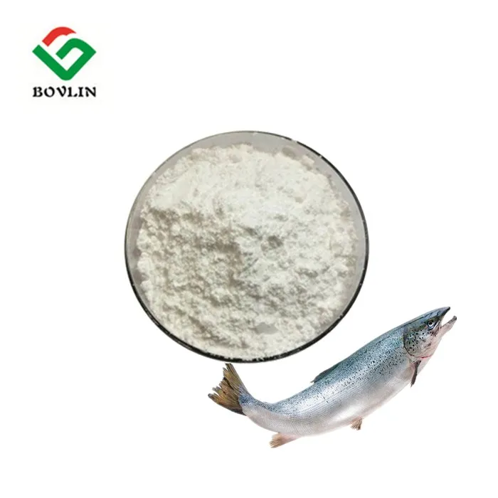 
Factory supply 500 dalton pure salmon fish collagen peptide powder 