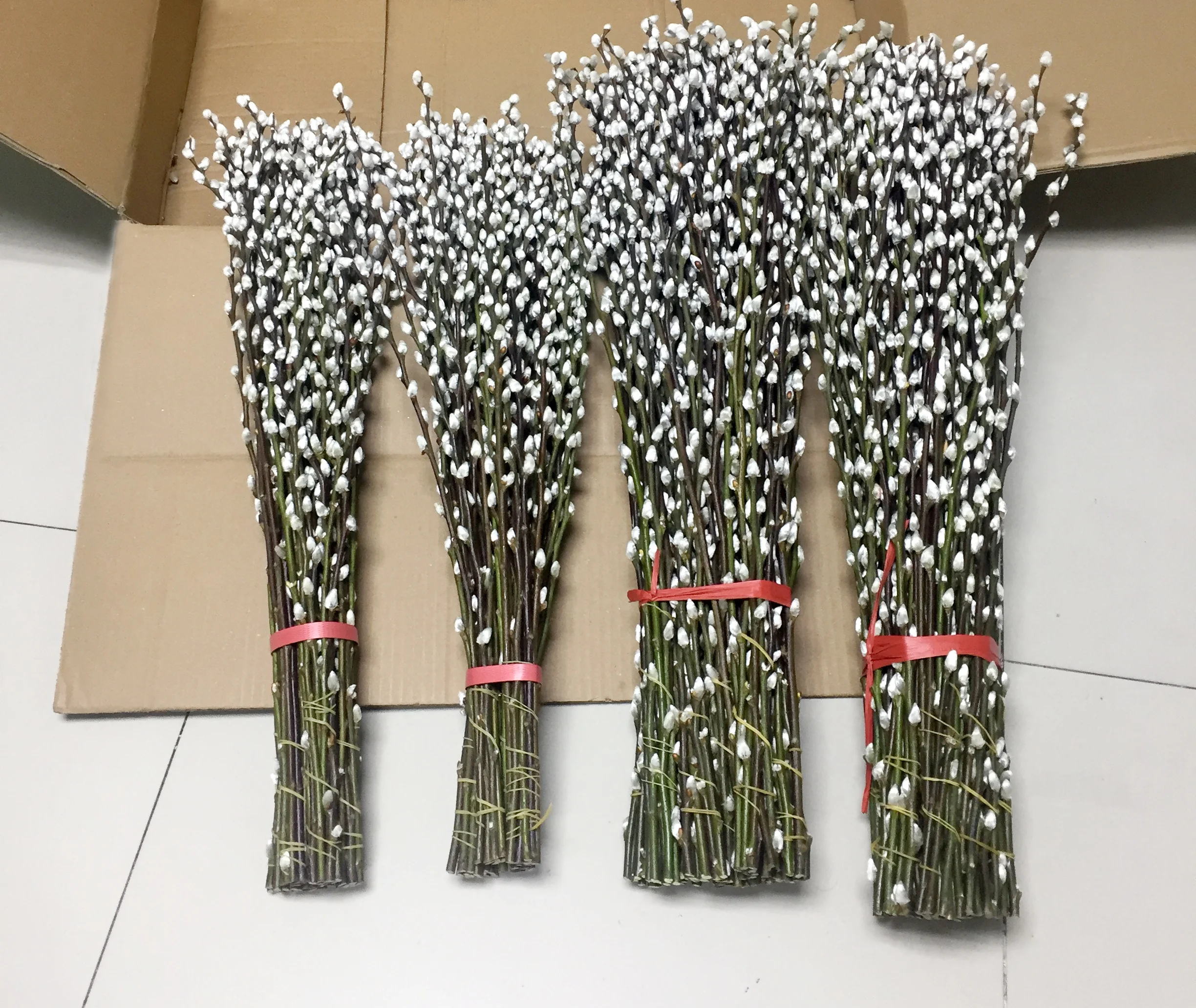 Hot sale fresh flower pussy willow salix for traditional celebration cut flower
