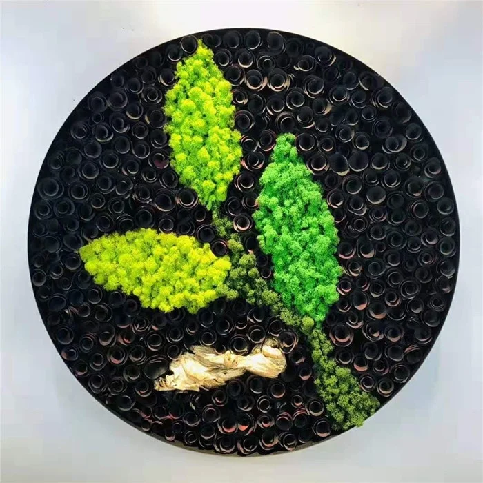wholesale decorative green moss balls high quality natural preserved reindeer moss wall hanging frame for wall decor