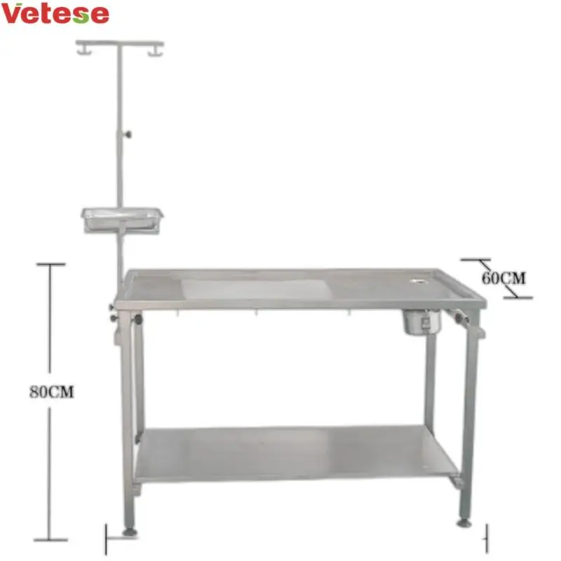 Medical Veterinary Surgical Equipment Animal Dissecting Table Stainless Steel Simple
