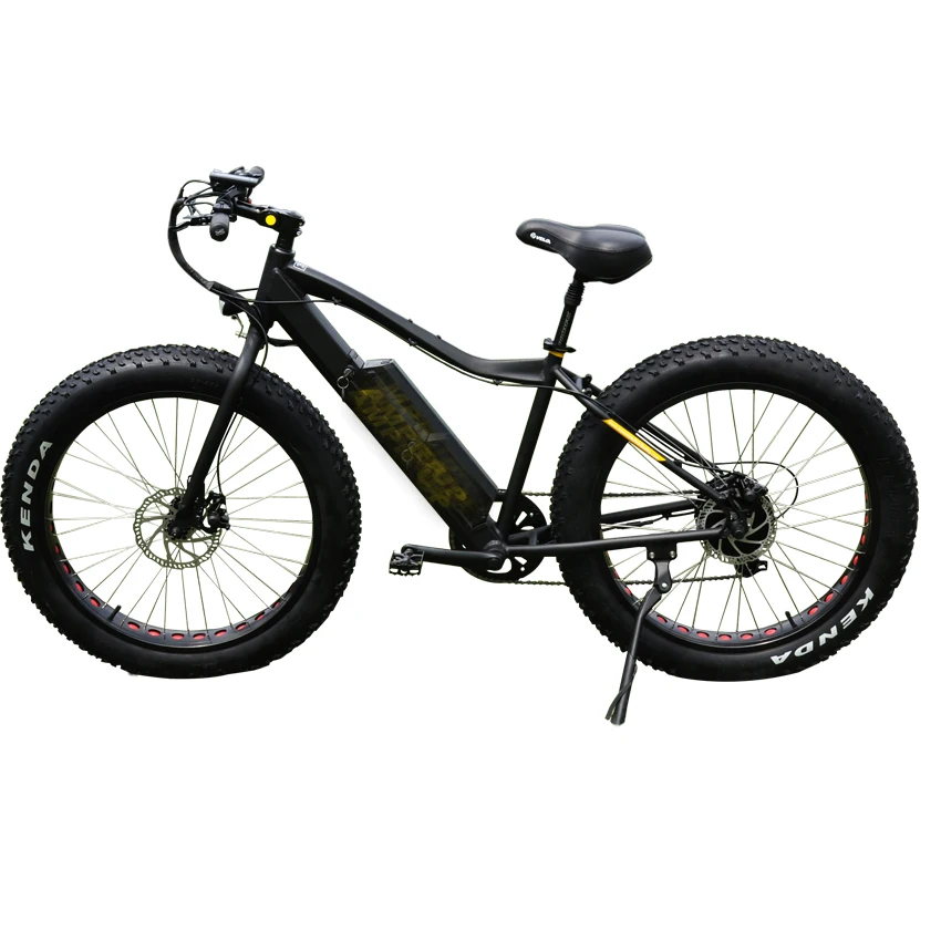500/750W MTB e bike Italian  frame ebike  electric fat bike bicycle