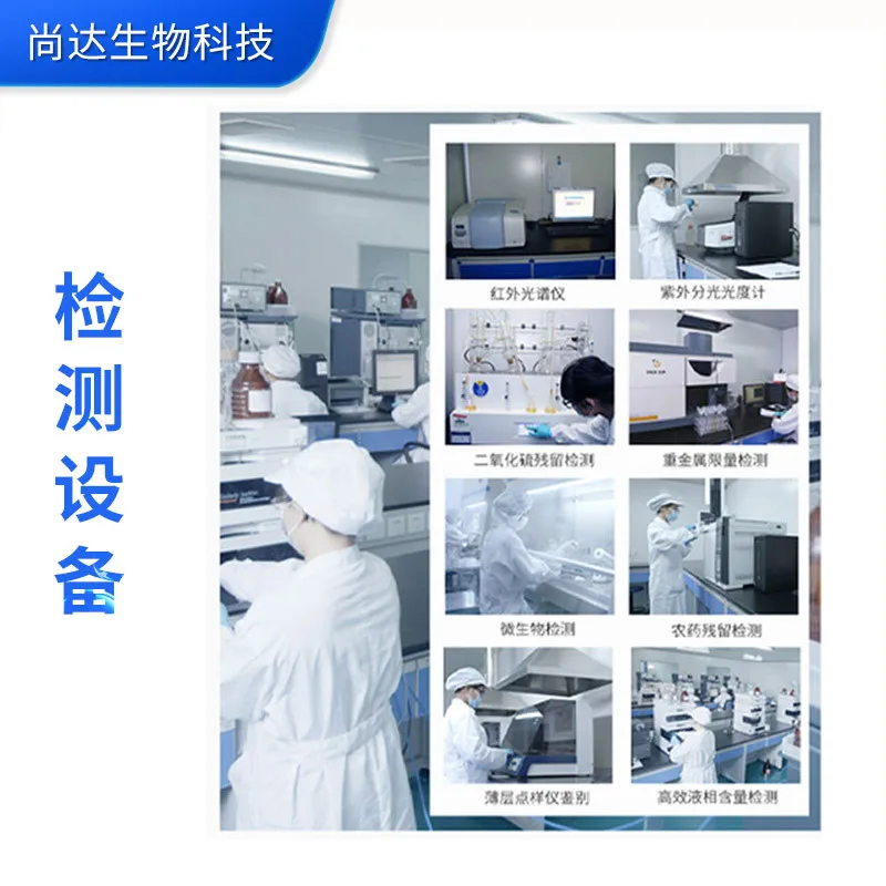 Hot Selling Plant Extract 10:1 Artichoke Extract Powder Cynara Scolymus Extract With Reliable Quality