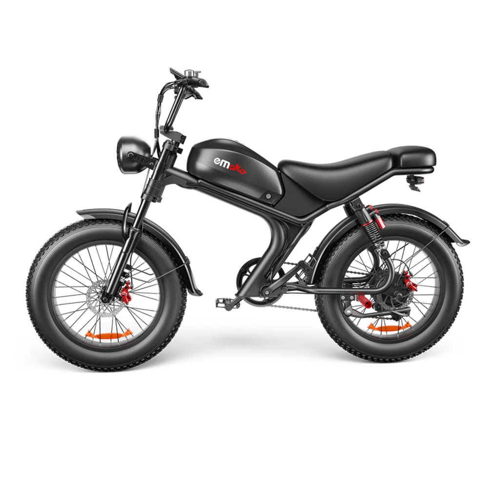 EU US Warehouse 20 Inch 1000w 48v 20Ah Long Range Fat Tire C93 Ebike with Removable Lithium Battery Electric E Bike