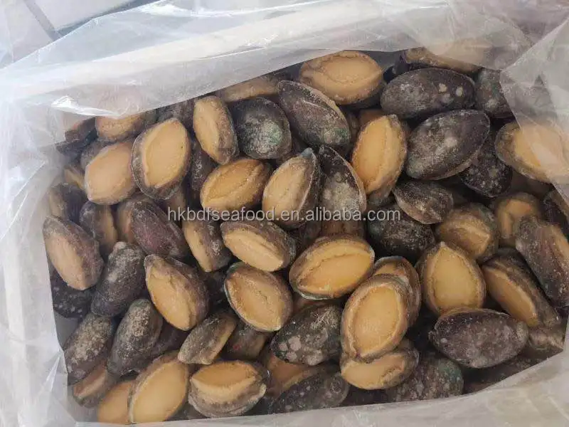 Морское ушко с раковиной Fujian