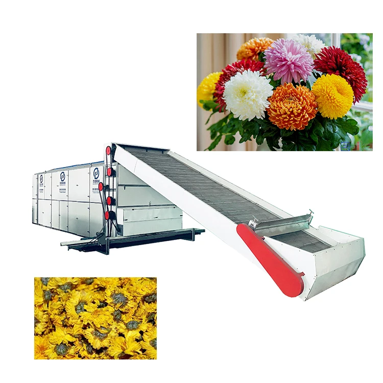 Industrial multi-layer belt type stevia leaves dryer stevia leaf seeds drying machine