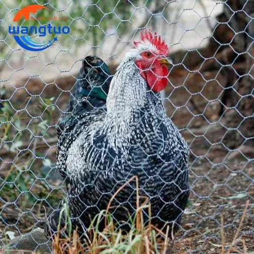 Самая низкая цена Прямая Фабрика Китая шестиугольная проволочная сетка с покрытием из ПВХ зеленая пластиковая куриной проволоки