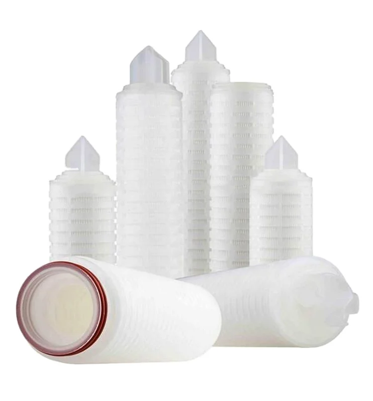 0.1/0.22/0.45/0.65 Micron Hydrophilic PTFE Membrane Filter Cartridge PTFE Filter for Sterile Process Gases filtration