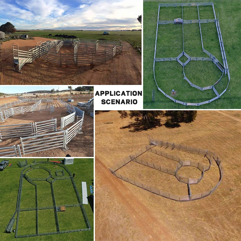 Wholesale Factory Price Metal Square Pipe 1.8m * 2.1m Cattle Farm Cattle Panels Livestock Fencing