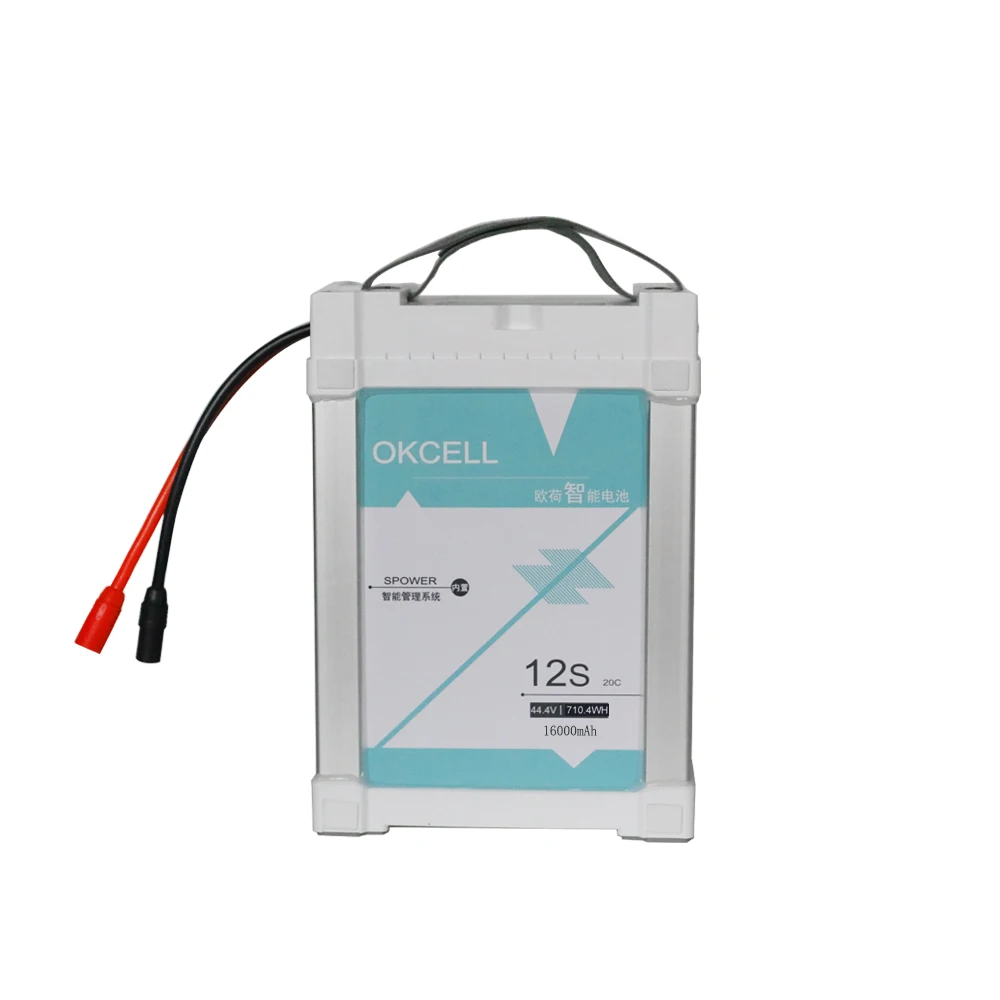 JMRRC 12S 44.4V 16000mAh 12000mAh 22000mAh UAV Intelligent Battery Rechargeable Smart Battery for Agricultural Crop Spray Drone