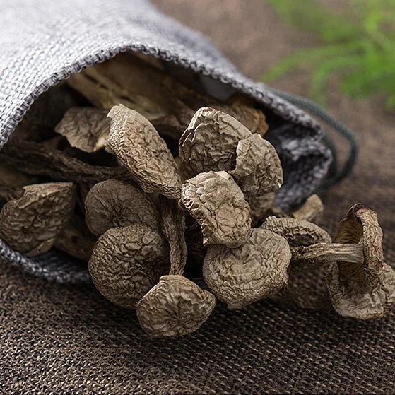 Dried Velvet Mushroom Best Price High  Organic Mushroom