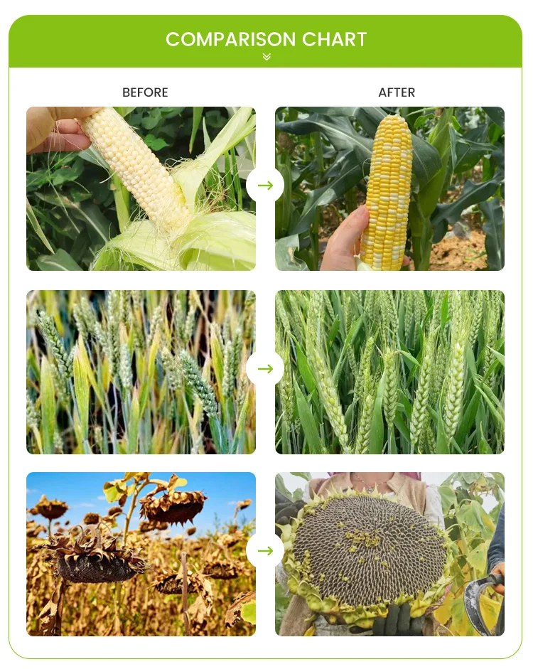 Factory Direct Sales Agricultural Planting Soil Compound Npk Fertilizer 81515