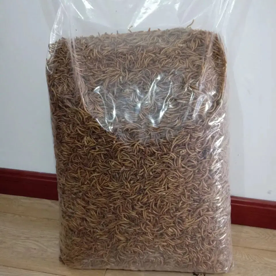 Dried Mealworms animal feed chicken food/feed