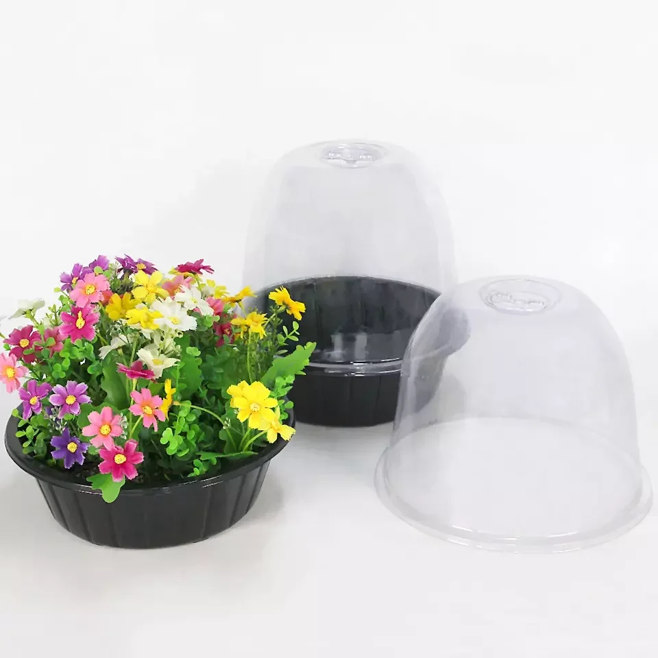 Garden Cloche Plant Bell Cover Dome Seed Cloche Planting Container Humidity Adjustable Plant Cloche for Vegetables Seedling