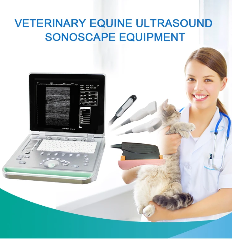 Portable ultrasound scanner vet veterinary equine ultrasound sonoscape equipment