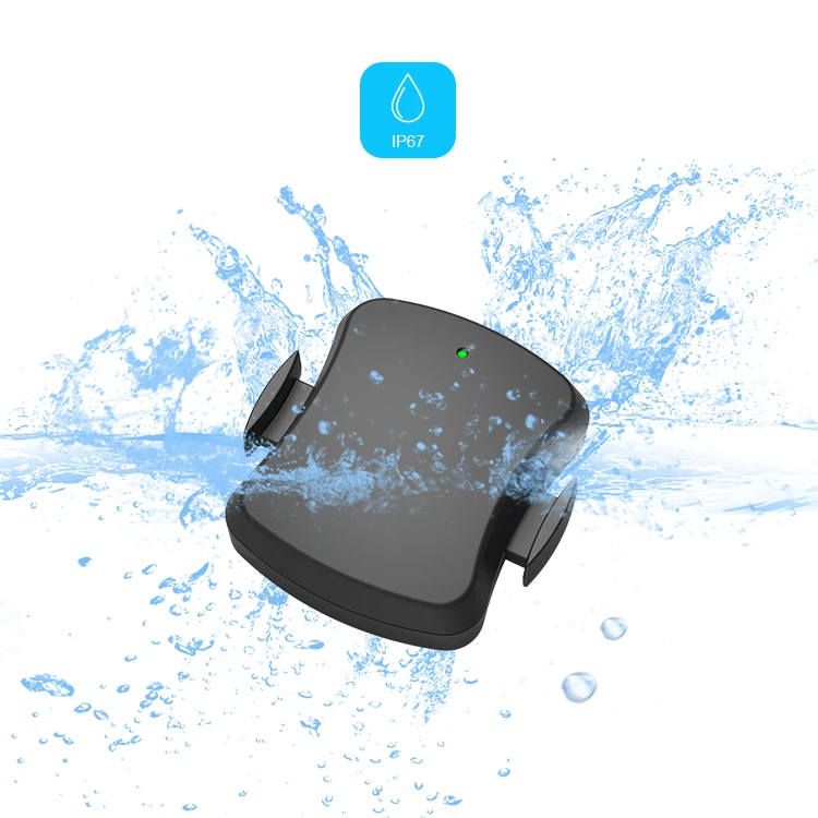 IP67 Waterproof Smart Speed and Cadence Sensor CDN200 Compatible for Fitness Apps via BLE