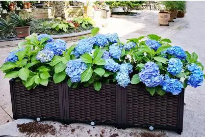 Wholesale Complete Collection of Flower Pots Planting Vegetables