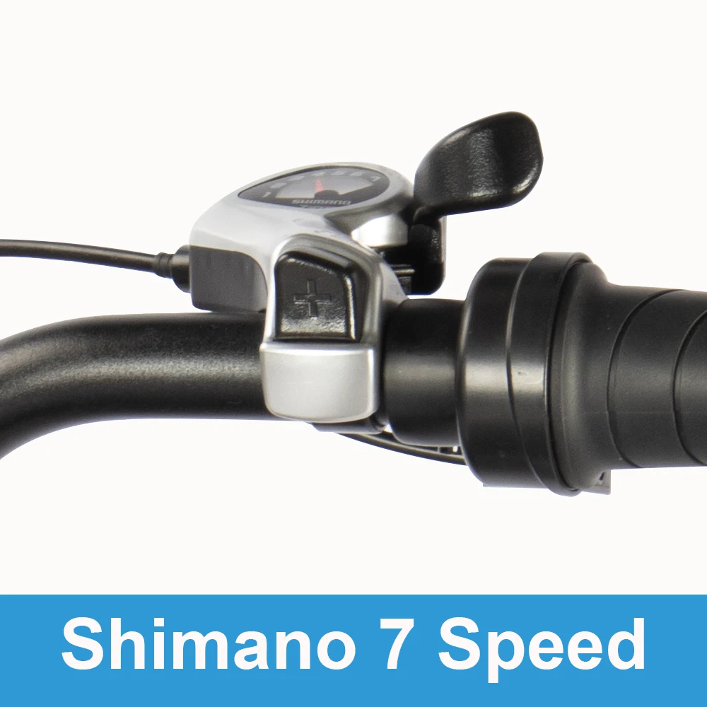 Netherlands Poland Electric Walking Bike Disc Brake Bicycle Bikes 48V 20inch Electric Bike Big Tire