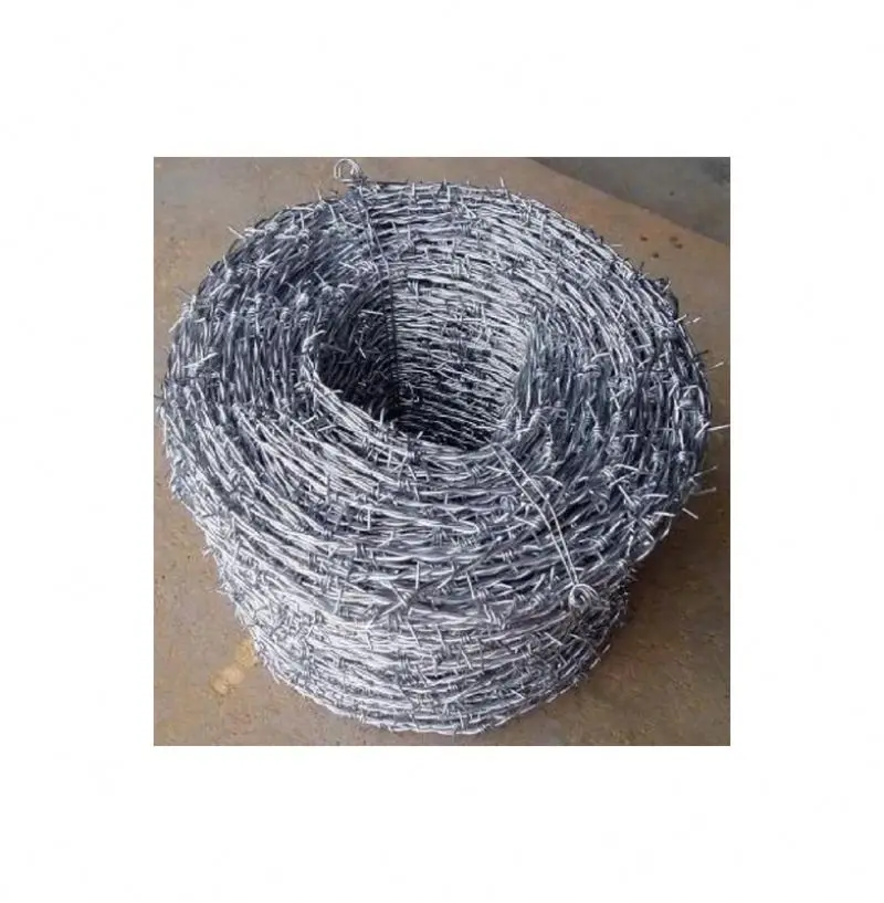 High quality china manufacture cheap galvanized razor barbed wire fence sale