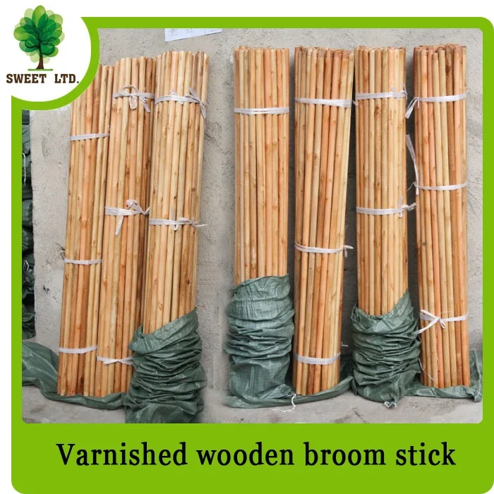 outdoor brush with long handle painting