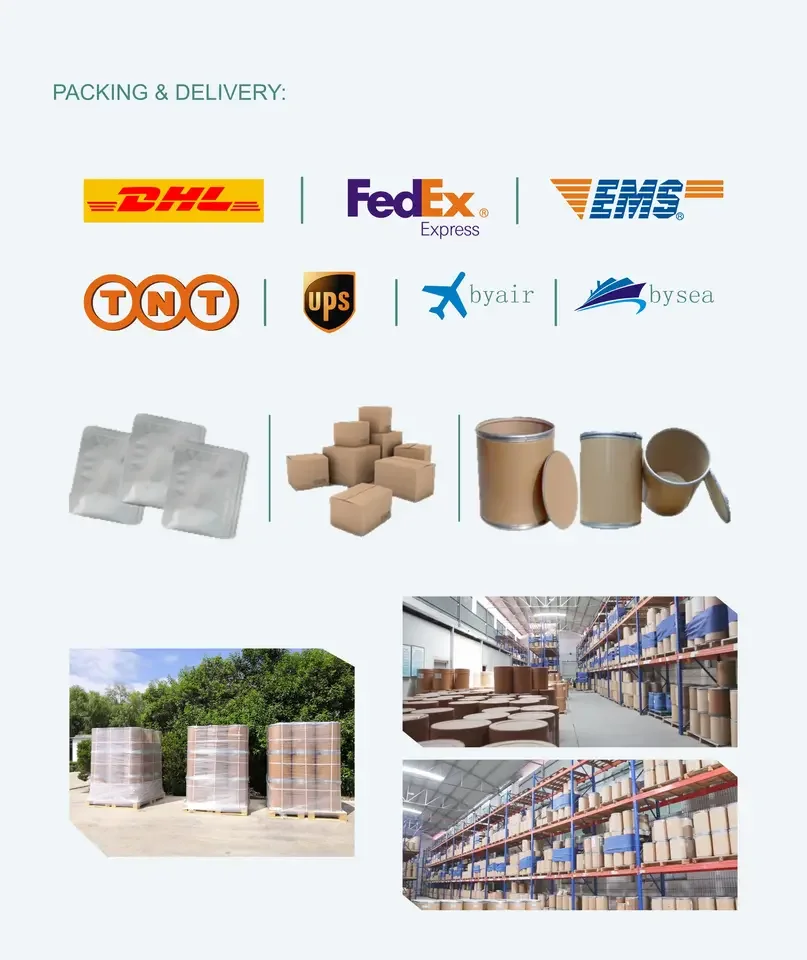 Rainwood HACCP/ISO Certified Euglena Powder High Quality and Reliable Price Euglena Algae Powder with Fast Shipping