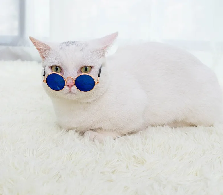 Fashion pet accessories photo travel necessities dog and cat pet glasses sunglasses
