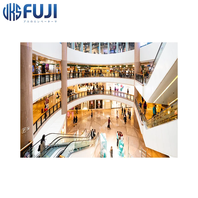 FUJI Brand Low Noise High Speed  Escalator Cheap Price Escalator With Good Quality For Indoor And Outdoor Use