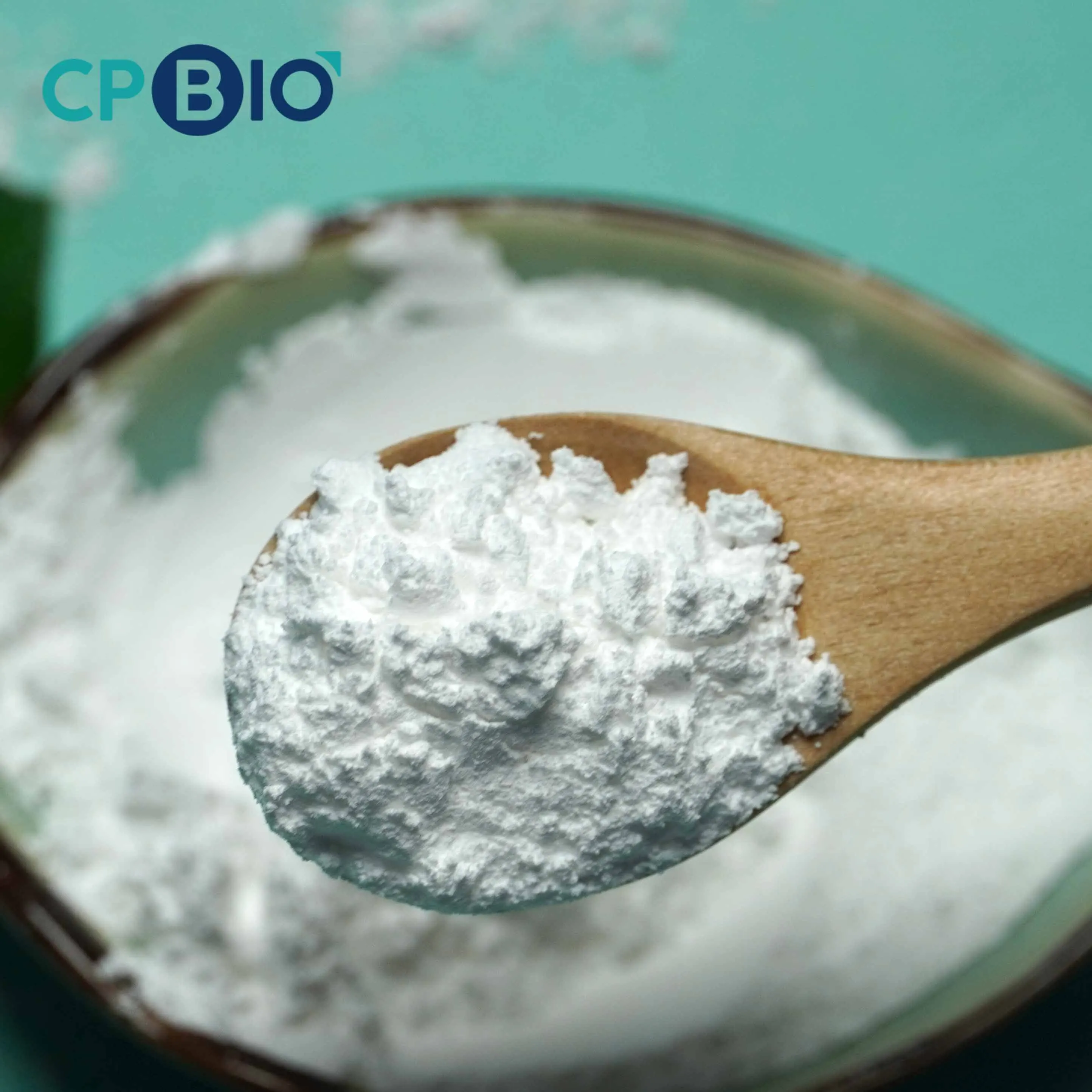 preservatives food Grade food additives sodium benzoate in food processing