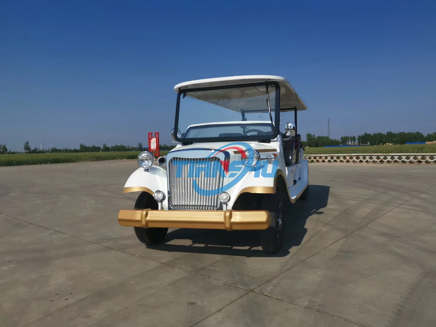 Багги винтажный автомобиль для гольфа Электрический классический высшего качества автобус трансформируемый коммерческий на продажу
