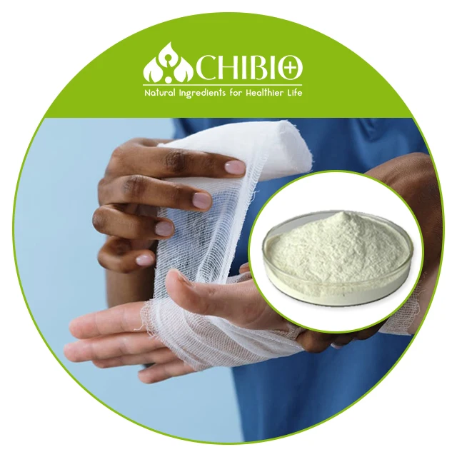 100% Natural Water Soluble Aspergillus Niger Chitosan Oligosaccharide <3000Da Powder for Food Dietary Supplement Nasal Spray