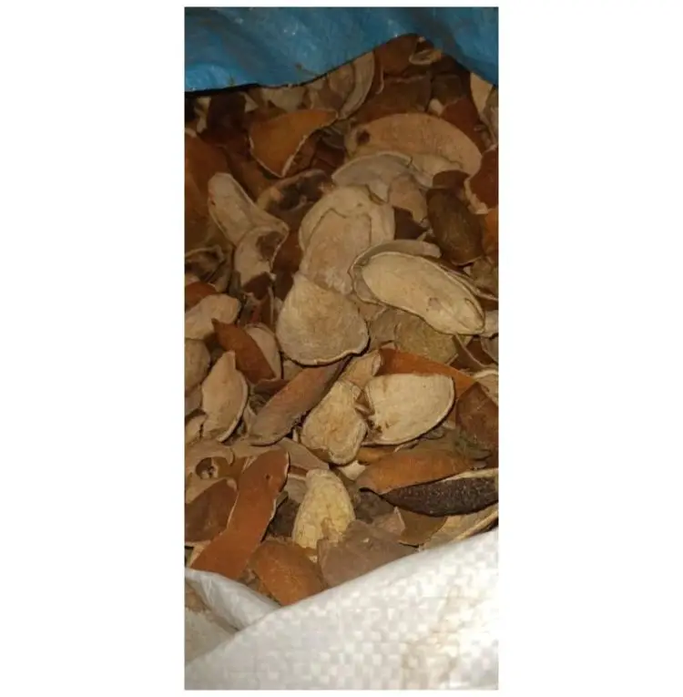 Апельсиновая корка Chola Superfoods апельсиновая самый продаваемый продукт CSF/ORPE/2022-2023 доступный высокого класса