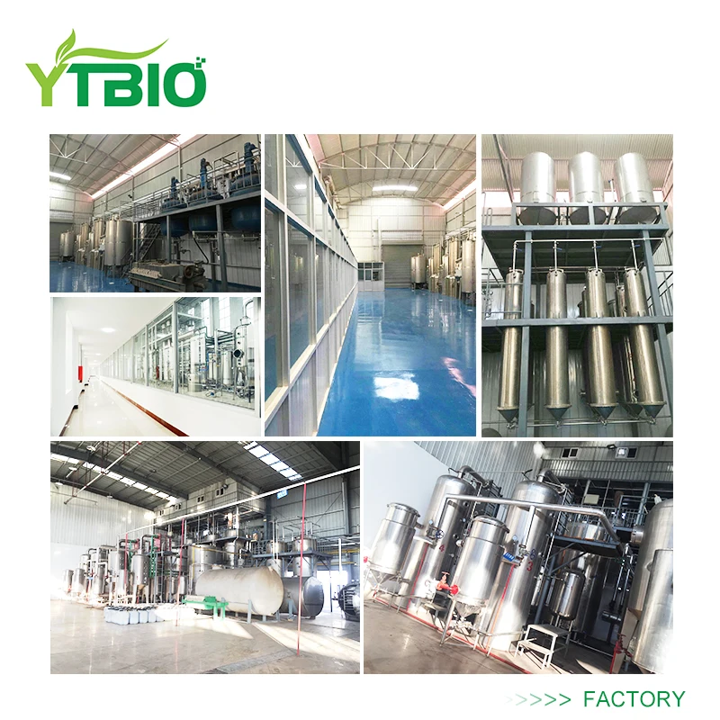 
YTBIO Ferrous Lactate CAS 5905-52-2 Iron Lactate 