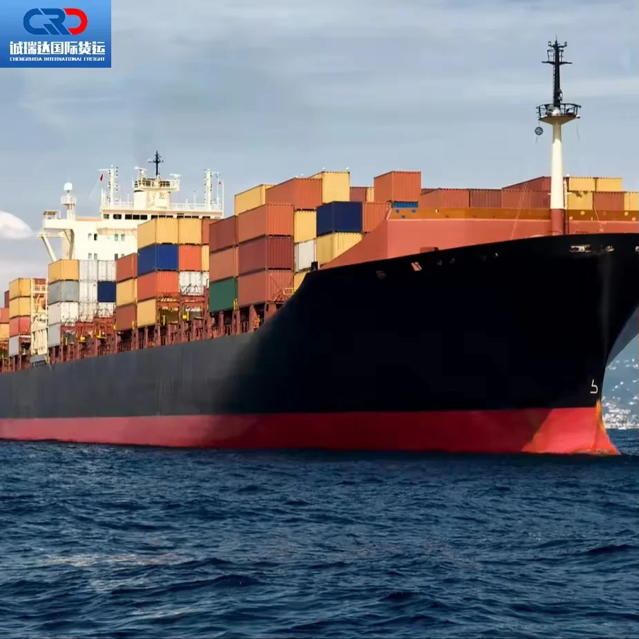 Freight Forwarder cheap DHL UPS FedEx TNT Express from China to Pakistan India Turkey South Africa