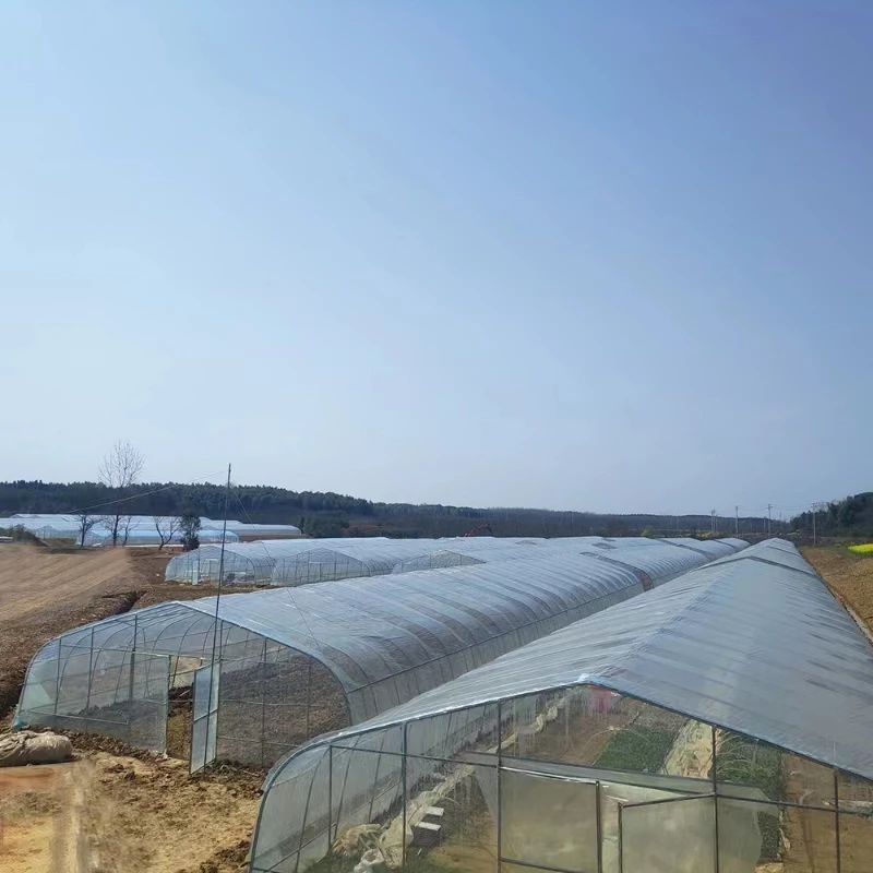 commercial price of m2 agricultural greenhouse arches poly professional tunnel green house/tomato greenhouse for sale