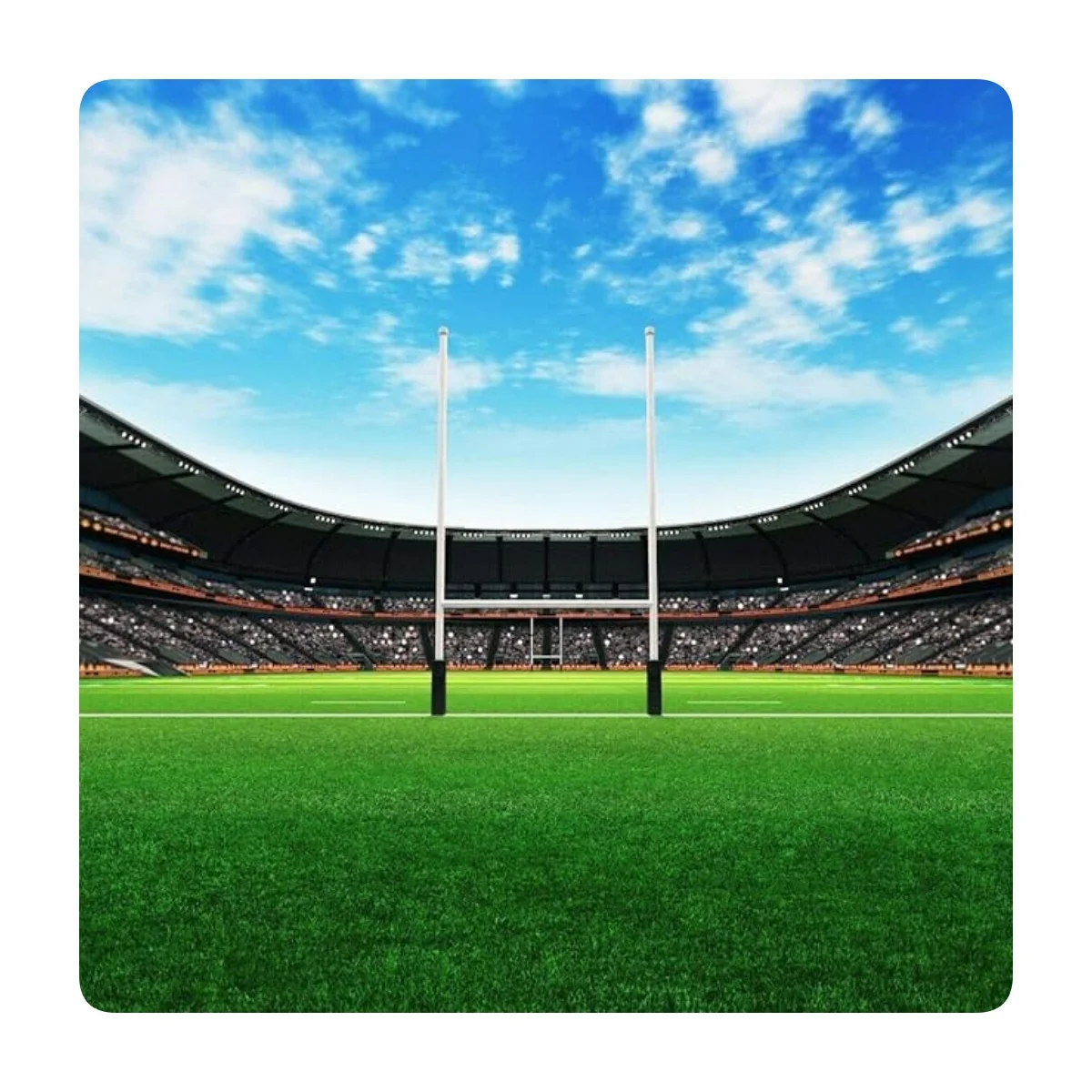 Professional Rugby Grass Turf Field Manufacturer Factory