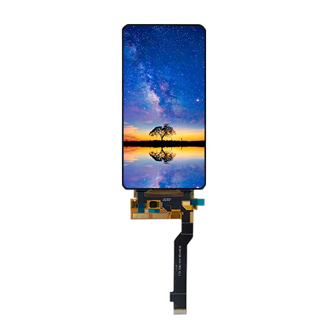 Factory Direct Sale 6.4 inch LCD Screen 1080x2340 Flexible Amoled Display with HD Driver Board