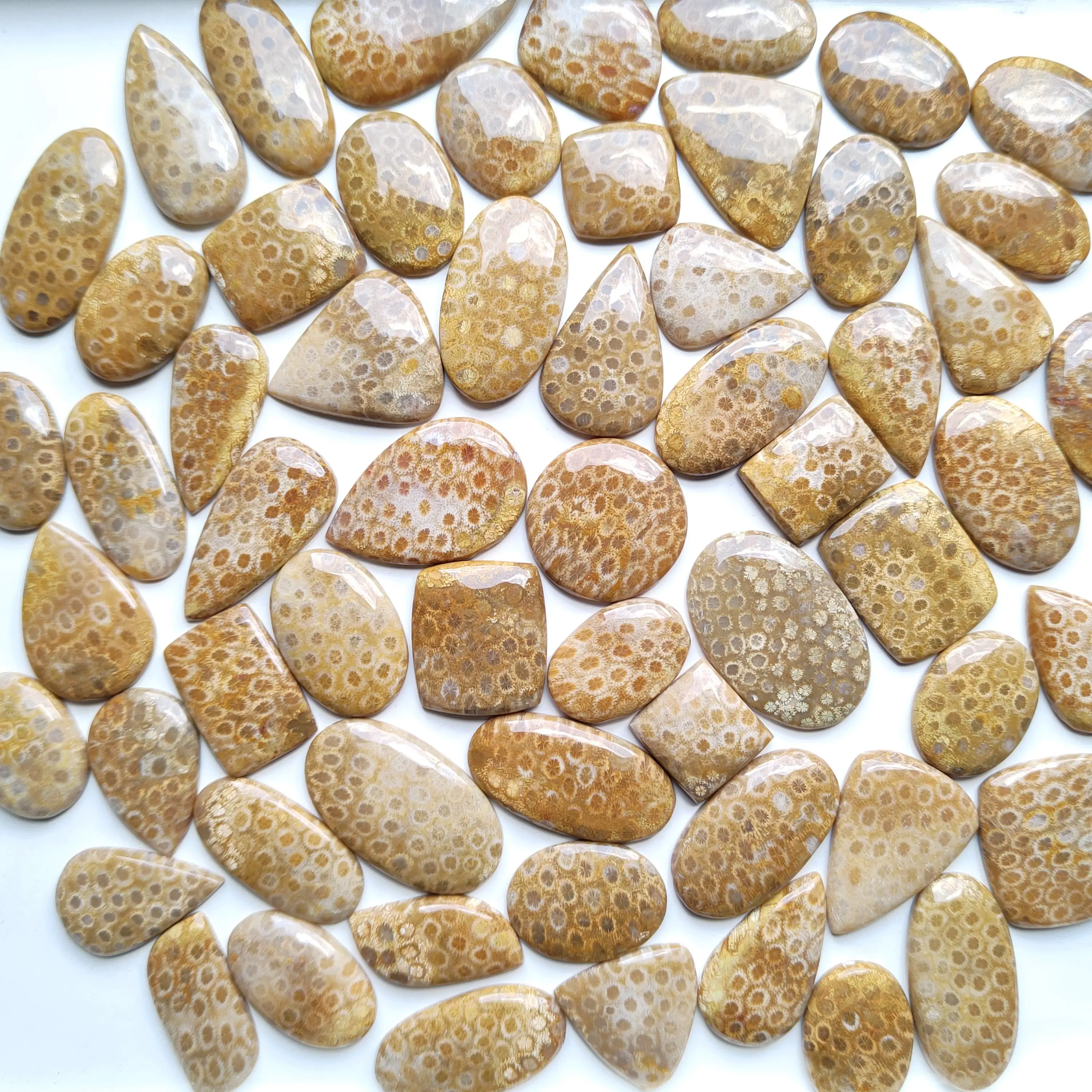 Natural Fossil Coral Loose Cabochon mix shape in all size Handmade Top Fossil Coral Cabochon Loose Gemstones Making For Jewelry